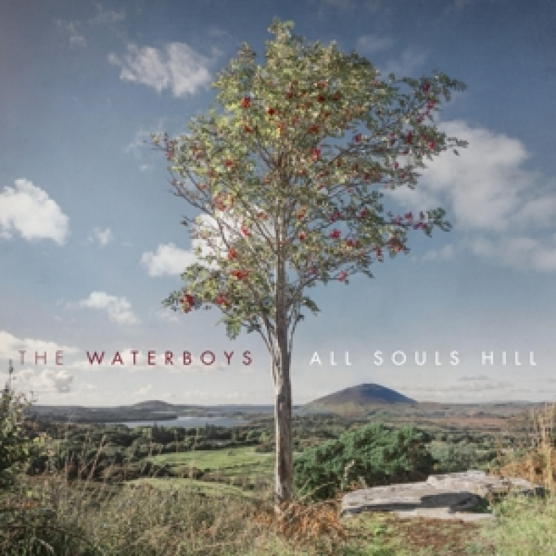 Waterboys - All Souls Hill (Red Vinyl) 